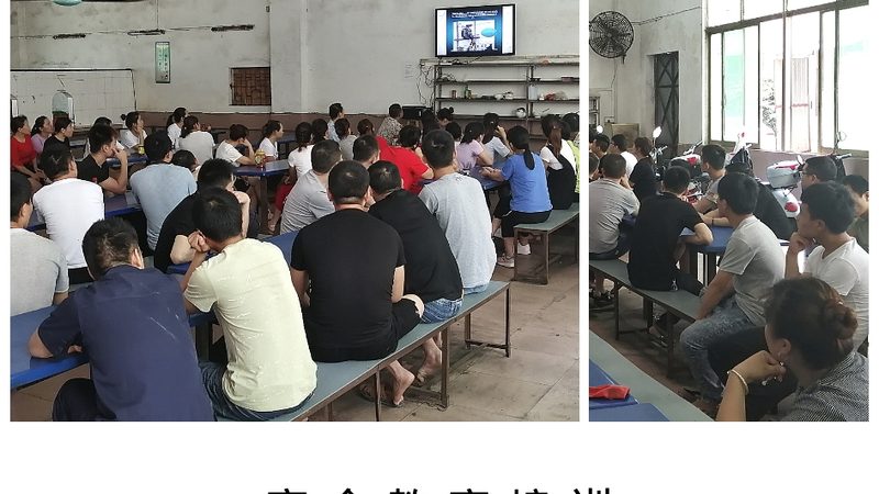 叉车证与挖掘机证：工作前景对比分析